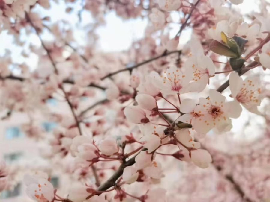 2e252a6a1ab3439ba6bb7f165ec99008.jpg 222531965be1f0.jpg